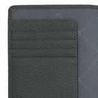 Theo RFID Reisepassetui 4CS