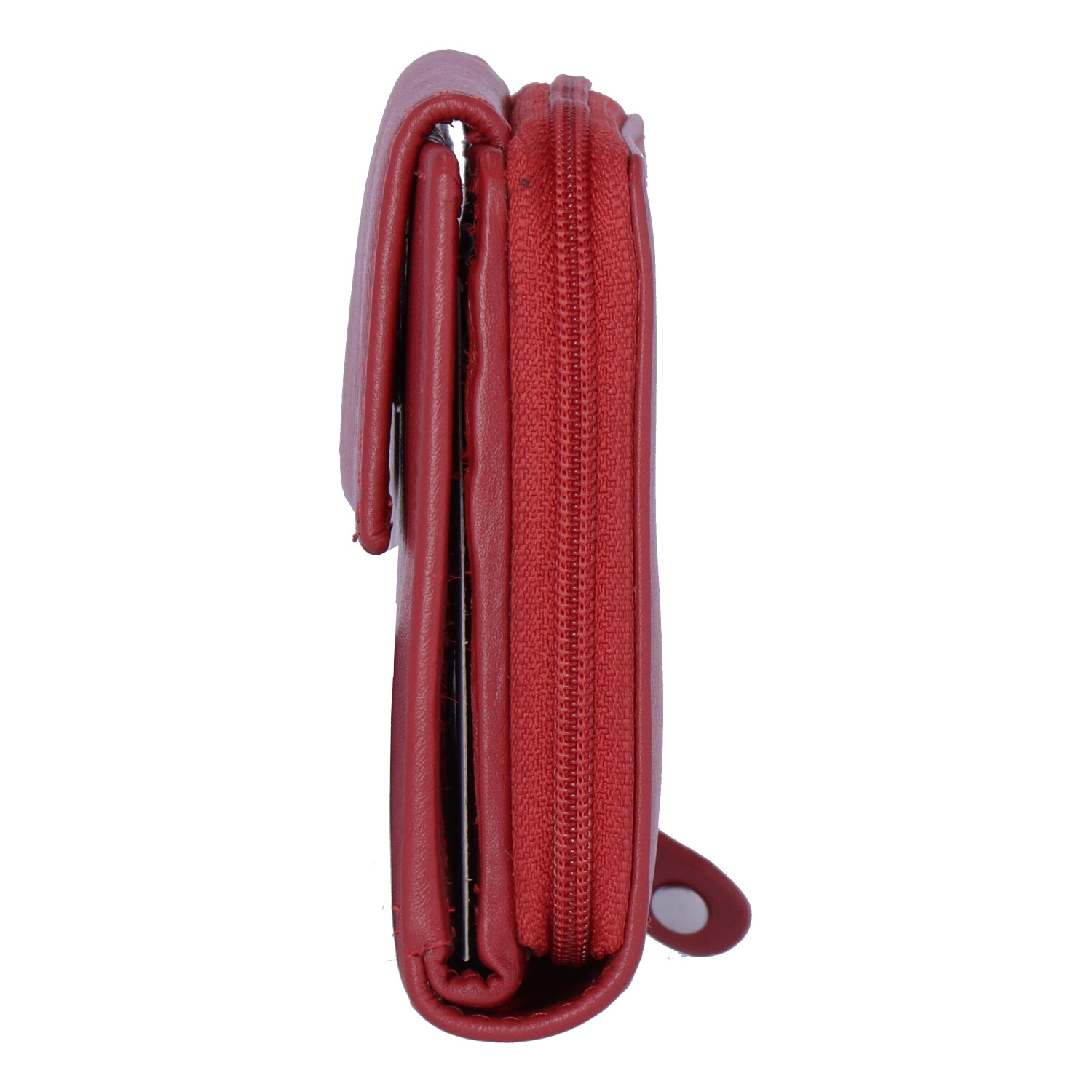 KENO-RADA-BWR-Paris_85B001_red_4